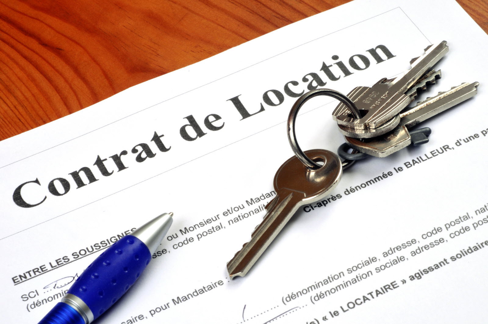 contrat de location