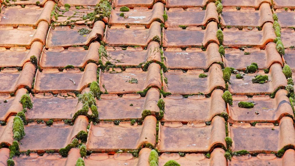 Rénovez votre toiture pour augmenter la valeur de votre bien immobilier à Clamart