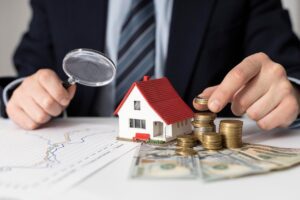 immobilier neuf